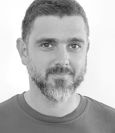  Nikzad-Langerodi,  Ramin 